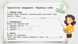 0901rdqk-f901-445x251.png
