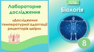 Лабораторне дослідження "Дослідження температурної адаптації рецепторів шкіри". Біологія 8 клас НУШ
