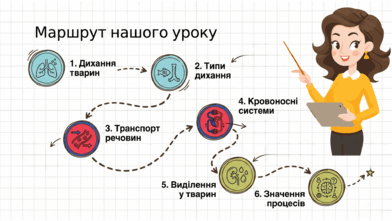 0901re9o-f812-392x221.png