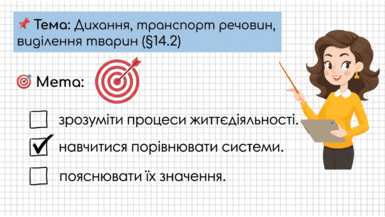 0901rea5-2e96-385x217.png
