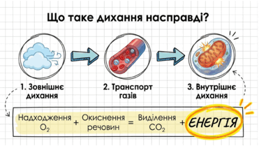 0901reaj-2947-371x209.png