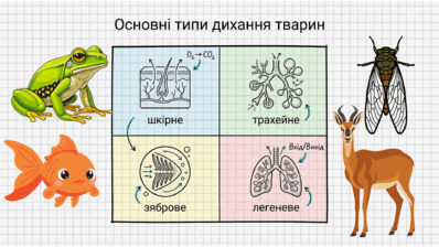 0901reaw-4f44-398x224.png