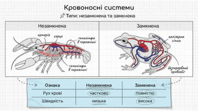 0901rebw-e941-396x223.png