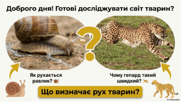 0901reo0-445a-371x209.png