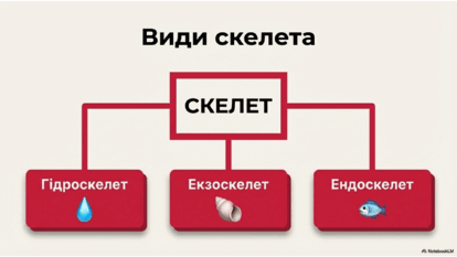 0901reoi-3a3c-414x233.png
