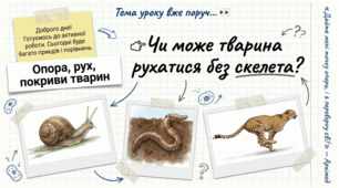 Опора, рух, покриви тварин. 7 клас НУШ.