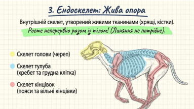 0901rev1-0a64-383x216.png