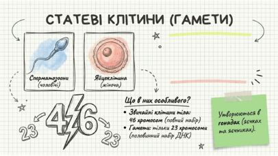 0901rfkr-1e9b-406x229.png