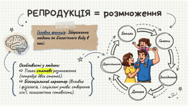 0901rfl2-f54c-383x216.png