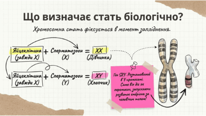0901rfle-1a86-414x233.png