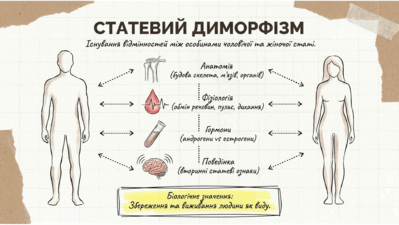 0901rfm4-2fbd-399x225.png
