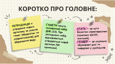 0901rfma-27c8-390x220.png