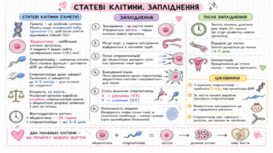 0901rfmk-ad63-391x220.png