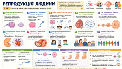0901rfmt-d143-411x231.png