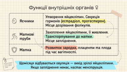 0901rgox-2817-424x239.png