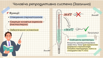0901rgp2-1cb7-392x221.png