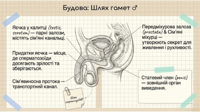 0901rgpd-ba57-406x228.png