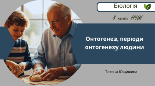 Онтогенез, періоди онтогенезу людини. 8 клас. НУШ