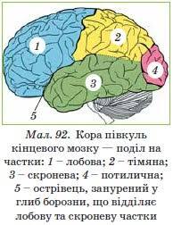 Особистий сайт Коваленка Сергія Івановича