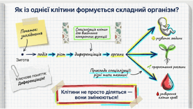0901rp29-8964-399x225.png