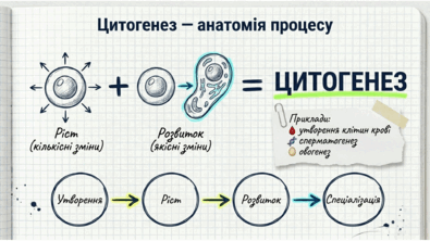 0901rp2x-9039-395x222.png