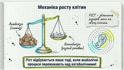 0901rp37-0f1f-418x235.png