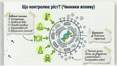 0901rp3m-0d35-389x219.png