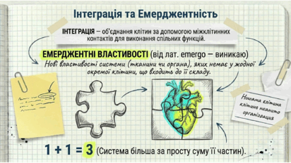 0901rp4t-7b93-412x232.png