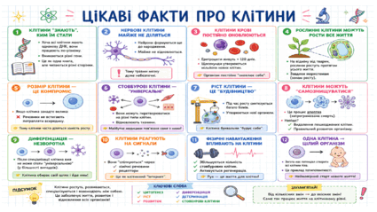 0901rp6m-c1c1-425x239.png