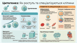 0901rp94-adc3-263x148.png