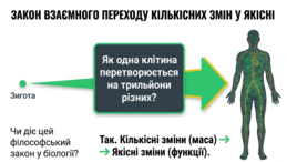 0901rp9f-43f4-259x146.png