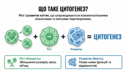 0901rp9z-a322-250x141.png