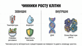0901rpag-6861-264x149.png