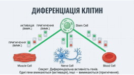 0901rpb1-2a33-264x149.png