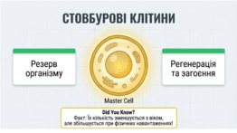 0901rpb7-b831-262x147.png