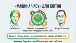 0901rpbv-43ea-261x147.png