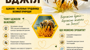Пазл "20 травня  - Всесвітній день  бджіл" 8 елементів