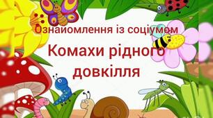 Ознайомлення із соціумом"Комахи рідного довкілля"
