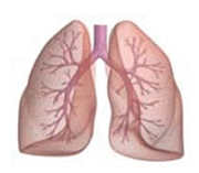 0901rqrk-b6b5-180x157.png