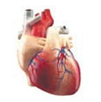 0901rqst-c149-146x148.png