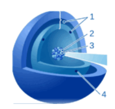 0901rtel-697c-230x217.png