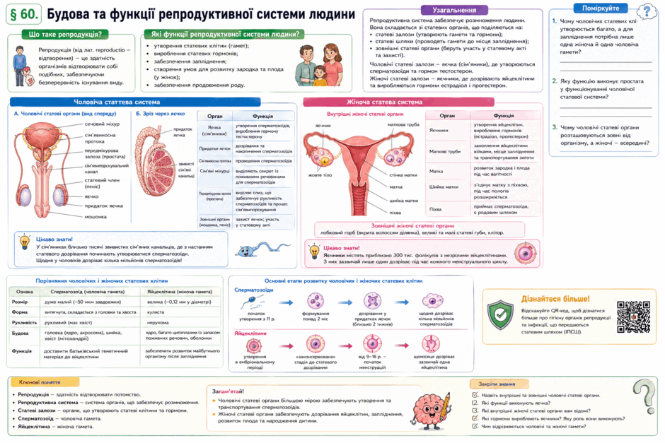 0901rvq4-efeb-940x627.png