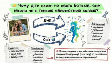 0901rwvs-738e-391x220.png