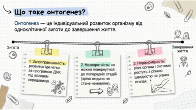 0901rww1-2fe2-385x217.png