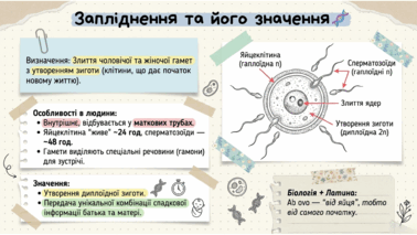 0901rwwo-fd03-378x213.png