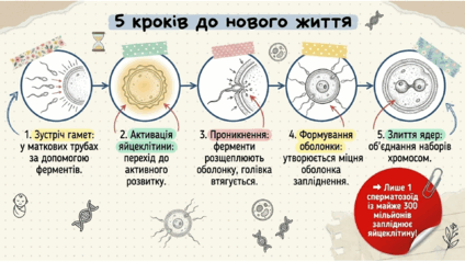 0901rwwv-82fe-424x239.png