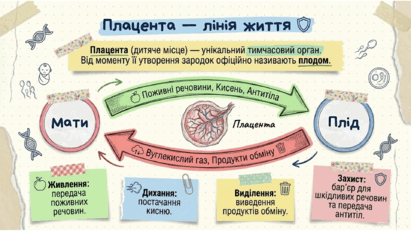 0901rwy8-fbb6-411x231.png