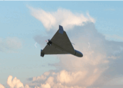 0901rxf1-5b5f-245x176.png