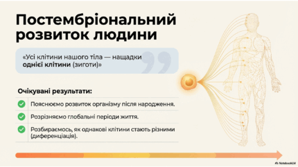 0901rxwn-d1fa-430x242.png