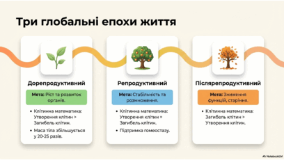 0901rxxk-c870-408x230.png